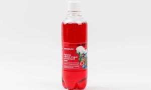 Напиток "Дикие ягоды" на пихтовой воде среднегазированный, 450 мл