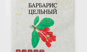 Барбарис, цельный 7г