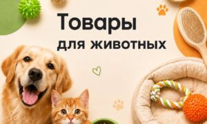 Товары для животных