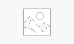 Заполнитель